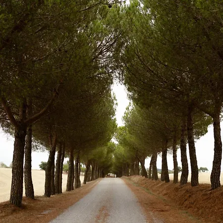 La Manonera * Montepulciano Stazione